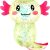 Axolotl